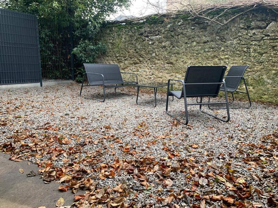 Appartements De Standing Centre Ville, Gare, Jardin,Terrasse Λε Μανς Εξωτερικό φωτογραφία